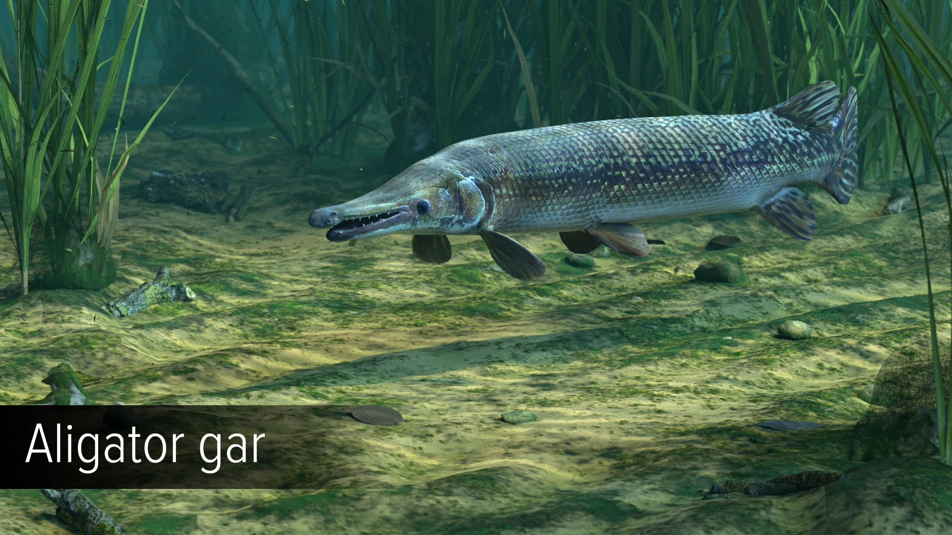 Ultimate Fishing Simulator - Amazon River DLC screenshot 1