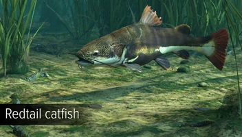 Ultimate Fishing Simulator - Amazon River DLC screenshot