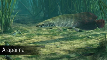 Ultimate Fishing Simulator - Amazon River DLC screenshot