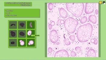 Animal Shelter - Vet Clinic DLC screenshot