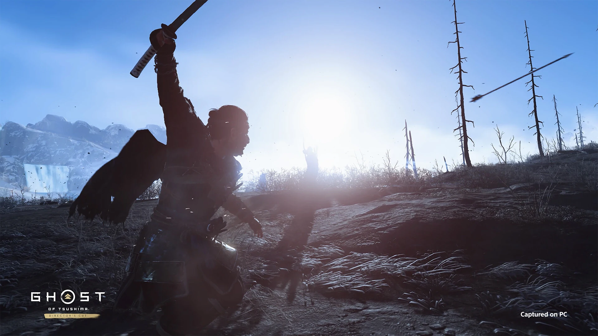 Ghost of Tsushima DIRECTOR'S CUT screenshot 1