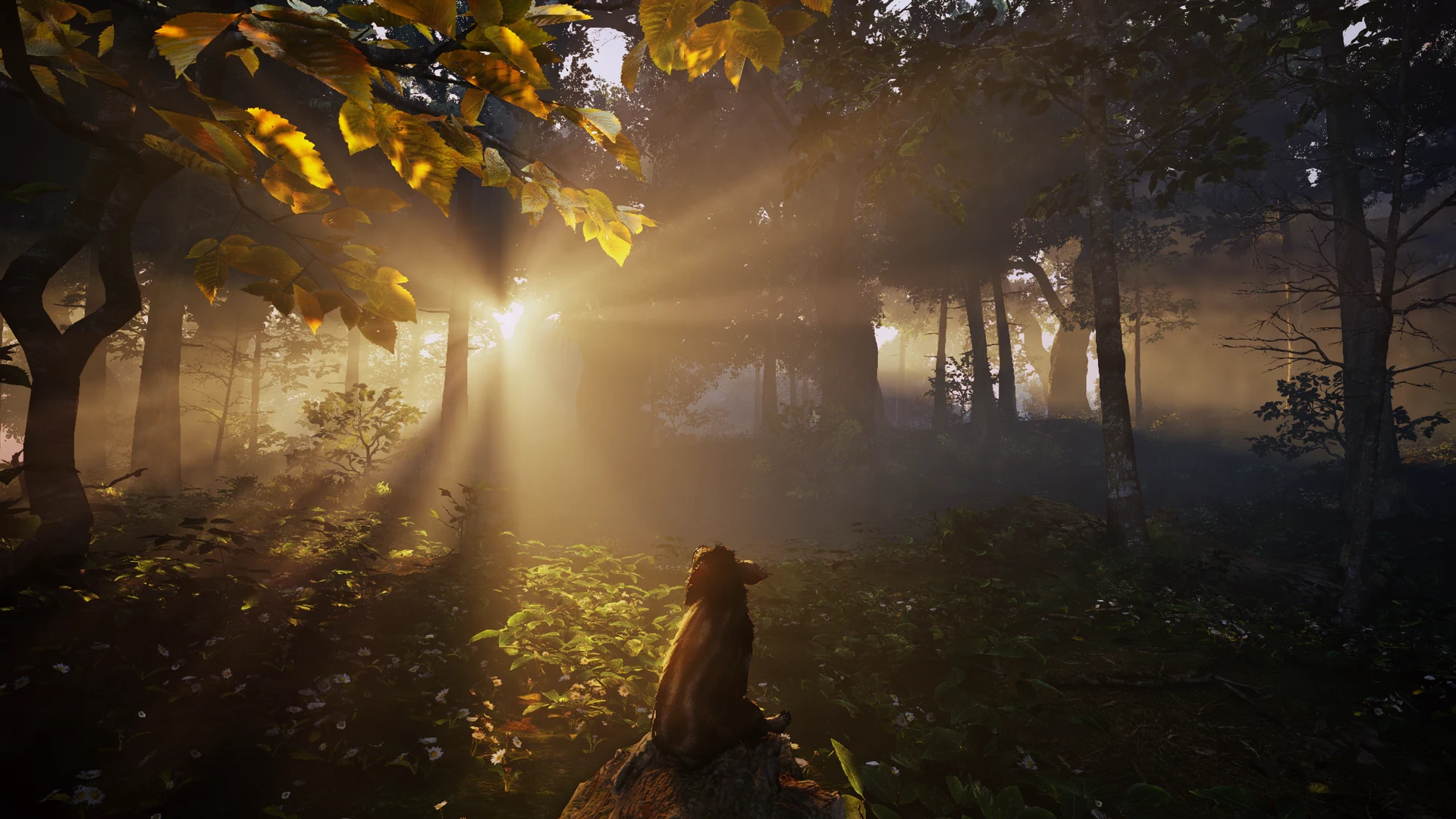 Adorable Adventures screenshot 1