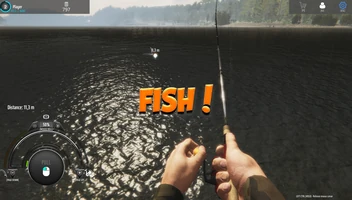 Fishing Adventure: Finland Reserve screenshot
