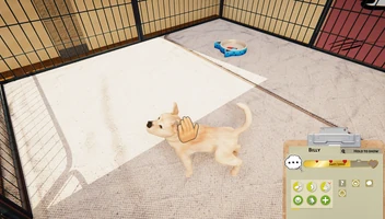 Animal Shelter - Puppies & Kittens DLC screenshot