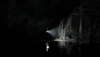 Silver Pines - Coming Soon screenshot