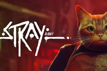Stray